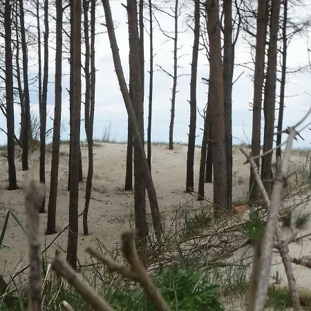 Апартаменты Slowinski *