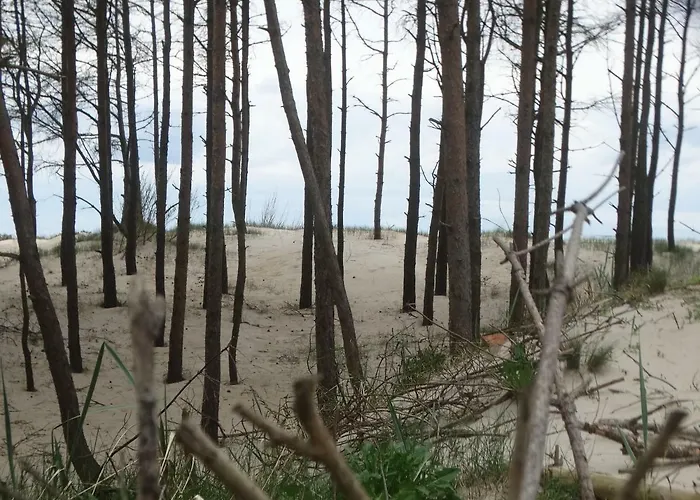 Appartement Slowinski *